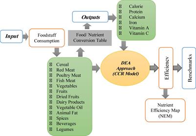 Impact of Socio-Economic Factors on Nutrition Efficiency: An Application of Data Envelopment Analysis